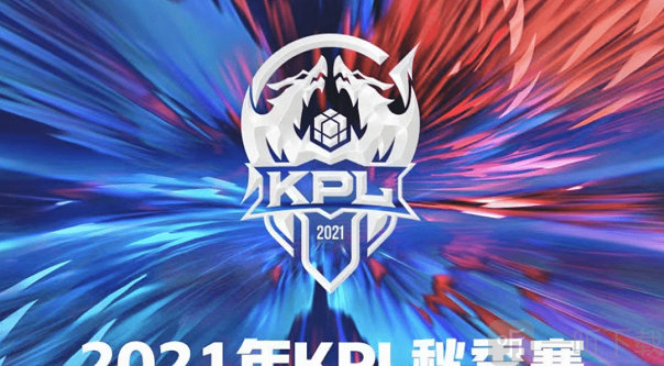 P模拟对